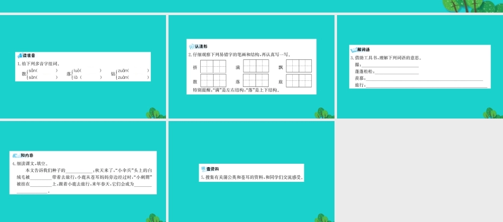 三年级语文下册 第二单元 6《小伞兵和小刺猬》预习课件 苏教版-苏教版小学三年级下册语文课件