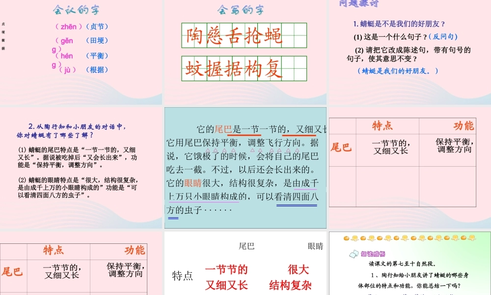三年级语文下册 第六单元 19放飞蜻蜓课件1 苏教版-苏教版小学三年级下册语文课件