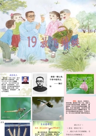 三年级语文下册 第六单元 19放飞蜻蜓课件1 苏教版-苏教版小学三年级下册语文课件
