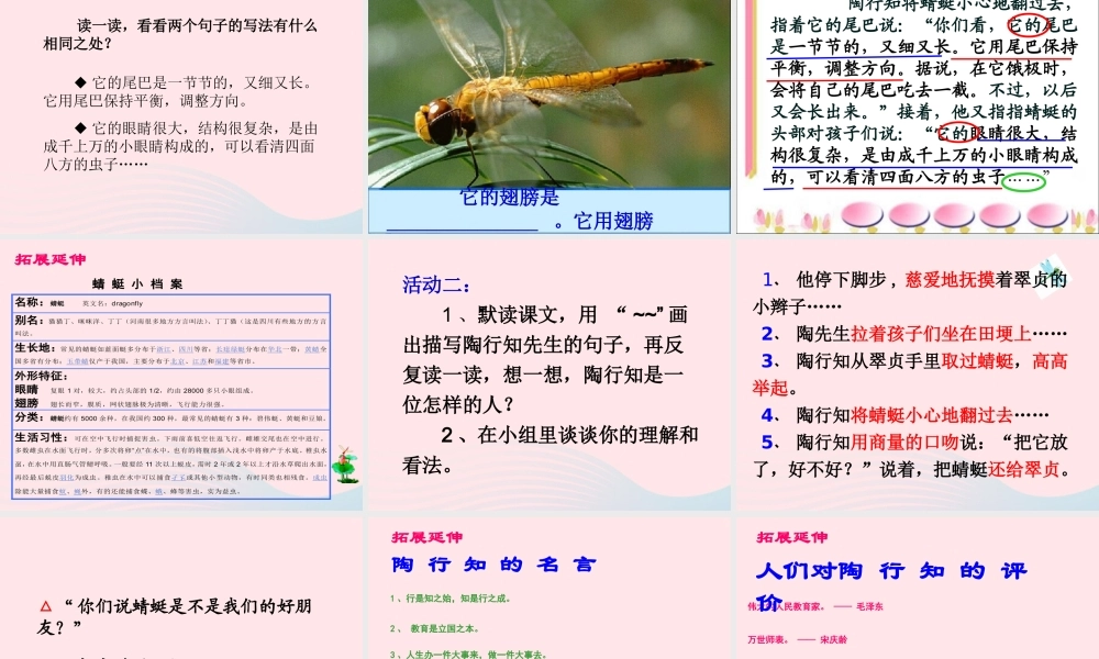 三年级语文下册 第六单元 19放飞蜻蜓课件2 苏教版-苏教版小学三年级下册语文课件