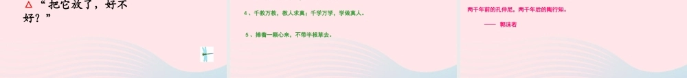 三年级语文下册 第六单元 19放飞蜻蜓课件2 苏教版-苏教版小学三年级下册语文课件