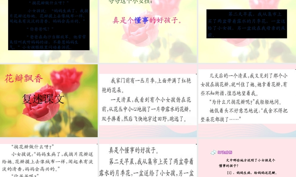 三年级语文下册 第二单元 6花瓣飘香课件2 苏教版-苏教版小学三年级下册语文课件