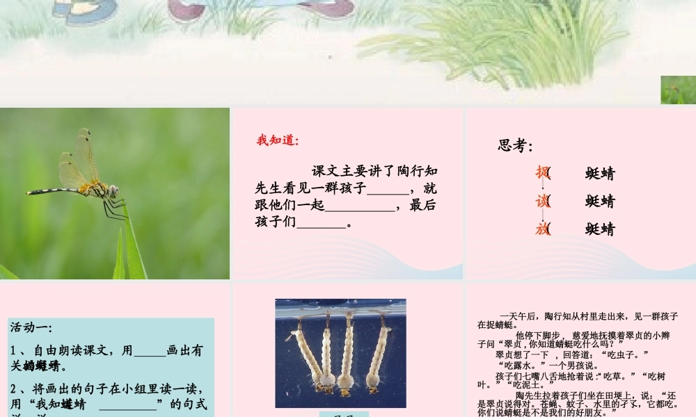 三年级语文下册 第六单元 19放飞蜻蜓课件3 苏教版-苏教版小学三年级下册语文课件