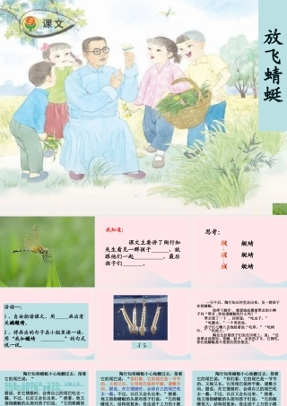 三年级语文下册 第六单元 19放飞蜻蜓课件3 苏教版-苏教版小学三年级下册语文课件