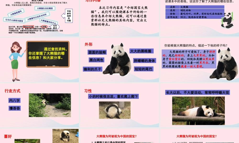 三年级语文下册 第七单元《习作：国宝大熊猫》教学课件 新人教版-新人教版小学三年级下册语文课件