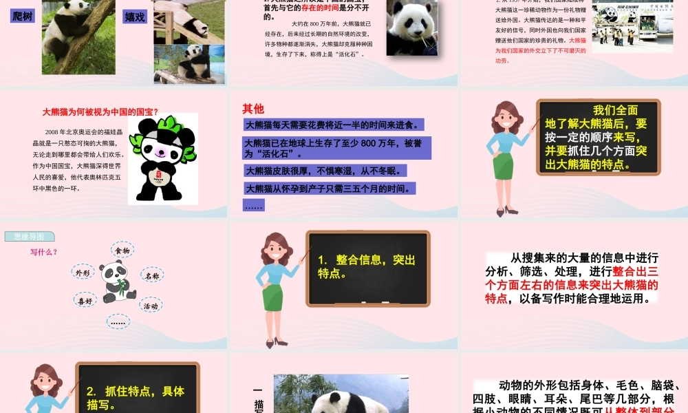 三年级语文下册 第七单元《习作：国宝大熊猫》教学课件 新人教版-新人教版小学三年级下册语文课件