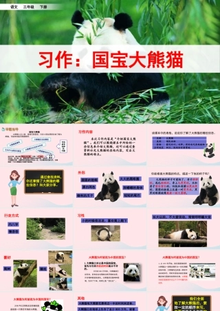 三年级语文下册 第七单元《习作：国宝大熊猫》教学课件 新人教版-新人教版小学三年级下册语文课件
