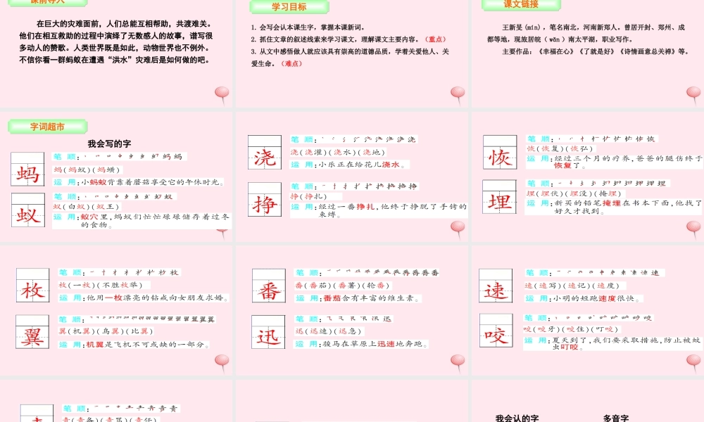 三年级语文下册 第二单元 7 蚂蚁的救助课件 语文S版-语文S版小学三年级下册语文课件