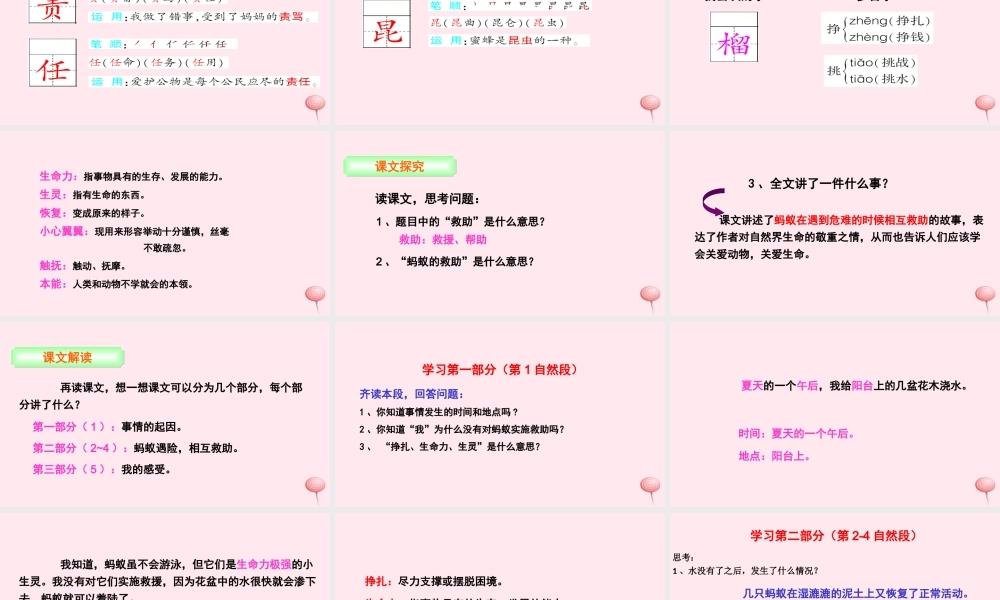 三年级语文下册 第二单元 7 蚂蚁的救助课件 语文S版-语文S版小学三年级下册语文课件
