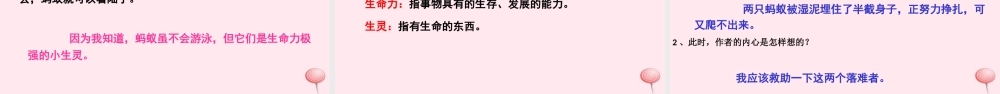 三年级语文下册 第二单元 7 蚂蚁的救助课件 语文S版-语文S版小学三年级下册语文课件