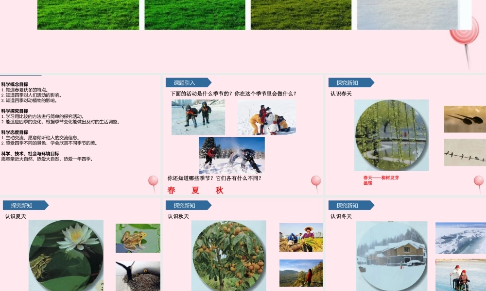 二年级科学上册 第二单元 太阳和月亮 第7课 春夏秋冬课件 青岛版六三制-青岛版小学二年级上册自然科学课件