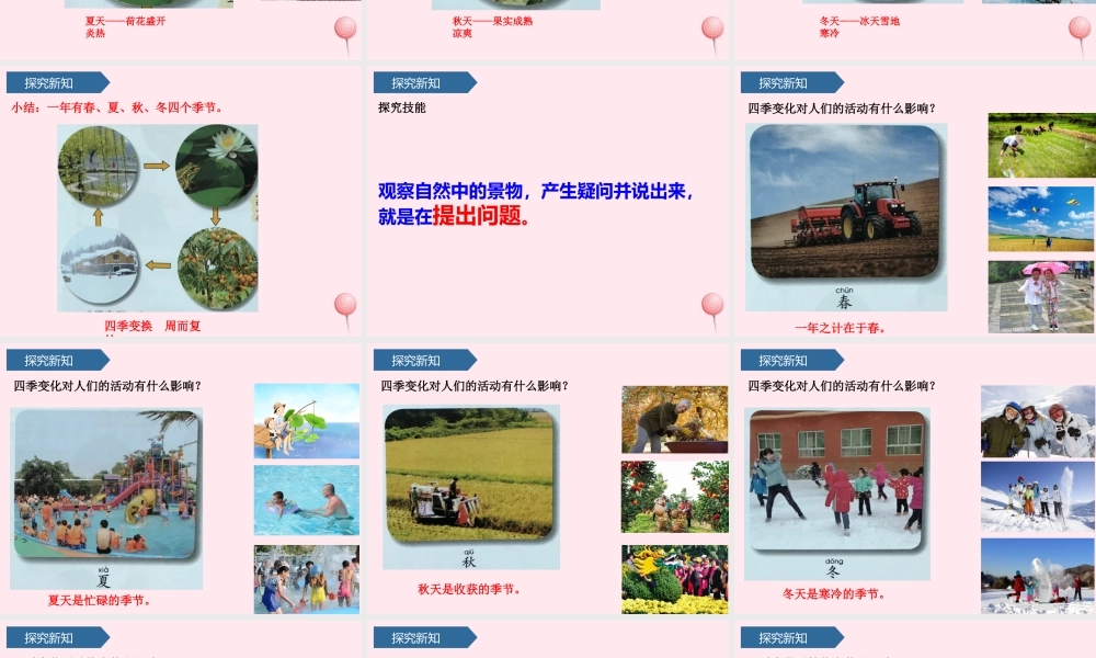 二年级科学上册 第二单元 太阳和月亮 第7课 春夏秋冬课件 青岛版六三制-青岛版小学二年级上册自然科学课件