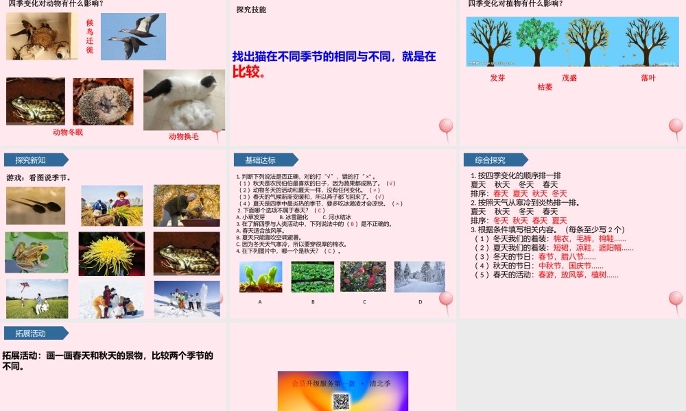 二年级科学上册 第二单元 太阳和月亮 第7课 春夏秋冬课件 青岛版六三制-青岛版小学二年级上册自然科学课件