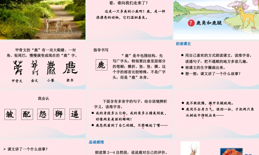 三年级语文下册 第二单元 7《鹿角和鹿腿》教学课件 新人教版-新人教版小学三年级下册语文课件