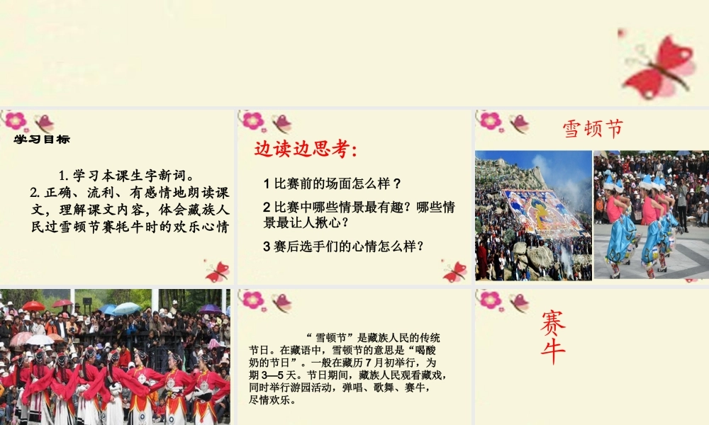 三年级语文下册 第8单元 30《雪顿节上看赛牛》课件1 语文S版-语文S版小学三年级下册语文课件