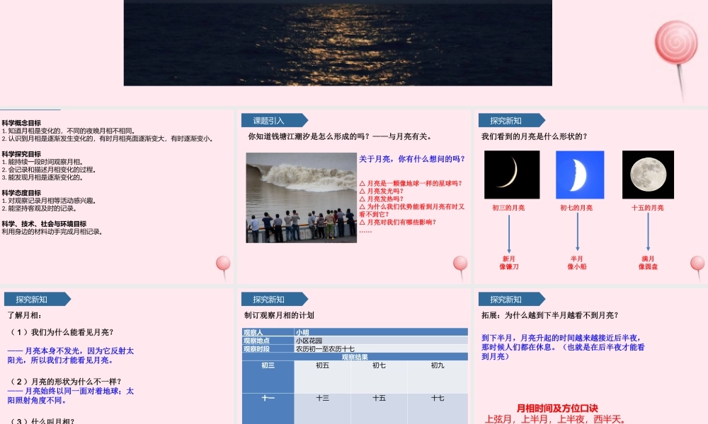 二年级科学上册 第二单元 太阳和月亮 第8课 看月亮课件 青岛版六三制-青岛版小学二年级上册自然科学课件