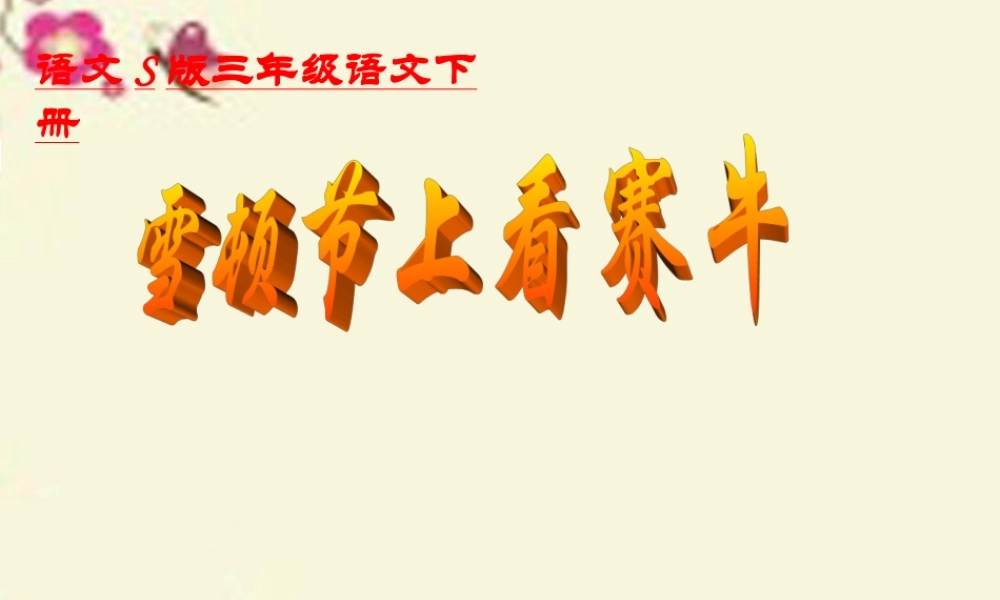 三年级语文下册 第8单元 30《雪顿节上看赛牛》课件3 语文S版-语文S版小学三年级下册语文课件