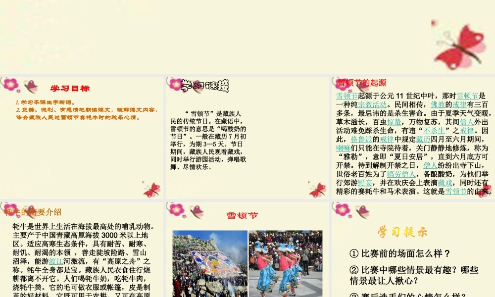 三年级语文下册 第8单元 30《雪顿节上看赛牛》课件3 语文S版-语文S版小学三年级下册语文课件