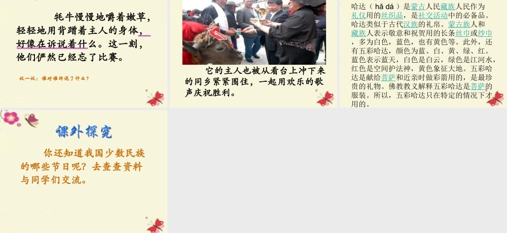 三年级语文下册 第8单元 30《雪顿节上看赛牛》课件3 语文S版-语文S版小学三年级下册语文课件