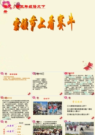 三年级语文下册 第8单元 30《雪顿节上看赛牛》课件3 语文S版-语文S版小学三年级下册语文课件