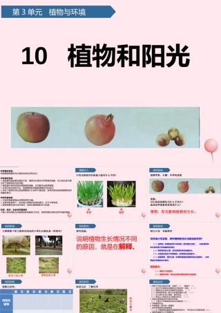 二年级科学上册 第三单元 植物与环境 第10课 植物和阳光课件 青岛版六三制-青岛版小学二年级上册自然科学课件