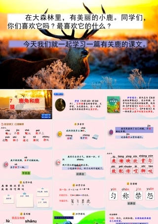 三年级语文下册 第二单元 7《鹿角和鹿腿》教学课件 新人教版-新人教级下册语文课件