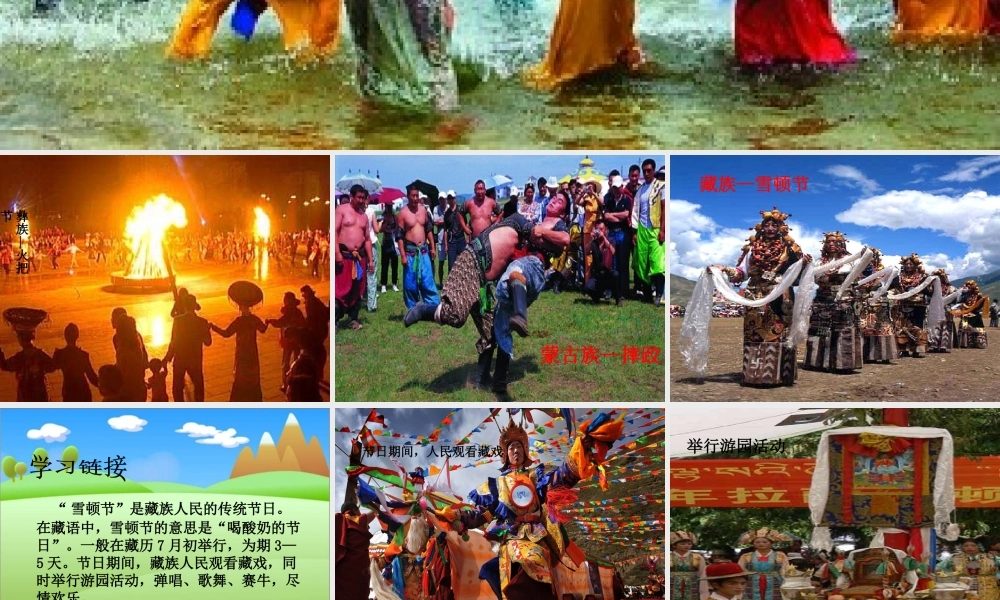 三年级语文下册 第8单元 30《雪顿节上看赛牛》课件4 语文S版-语文S版小学三年级下册语文课件