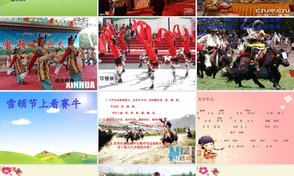 三年级语文下册 第8单元 30《雪顿节上看赛牛》课件4 语文S版-语文S版小学三年级下册语文课件