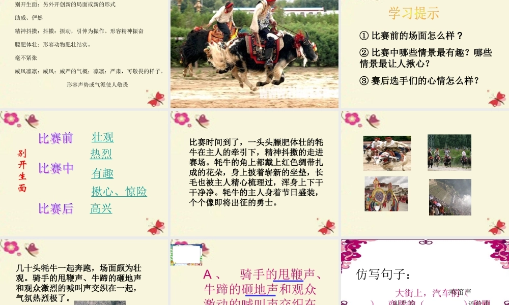 三年级语文下册 第8单元 30《雪顿节上看赛牛》课件4 语文S版-语文S版小学三年级下册语文课件