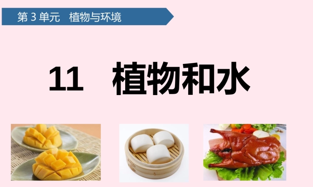二年级科学上册 第三单元 植物与环境 第11课 植物和水课件 青岛版六三制-青岛版小学二年级上册自然科学课件