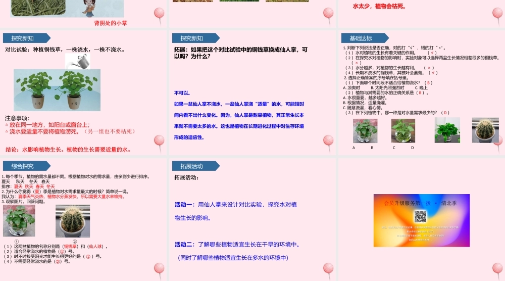 二年级科学上册 第三单元 植物与环境 第11课 植物和水课件 青岛版六三制-青岛版小学二年级上册自然科学课件