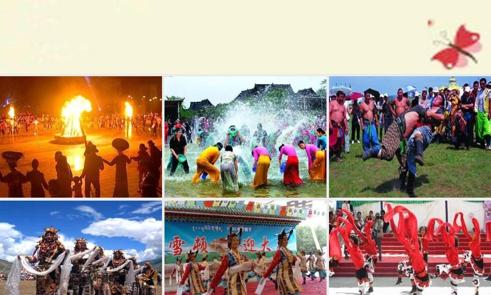 三年级语文下册 第8单元 30《雪顿节上看赛牛》课件5 语文S版-语文S版小学三年级下册语文课件