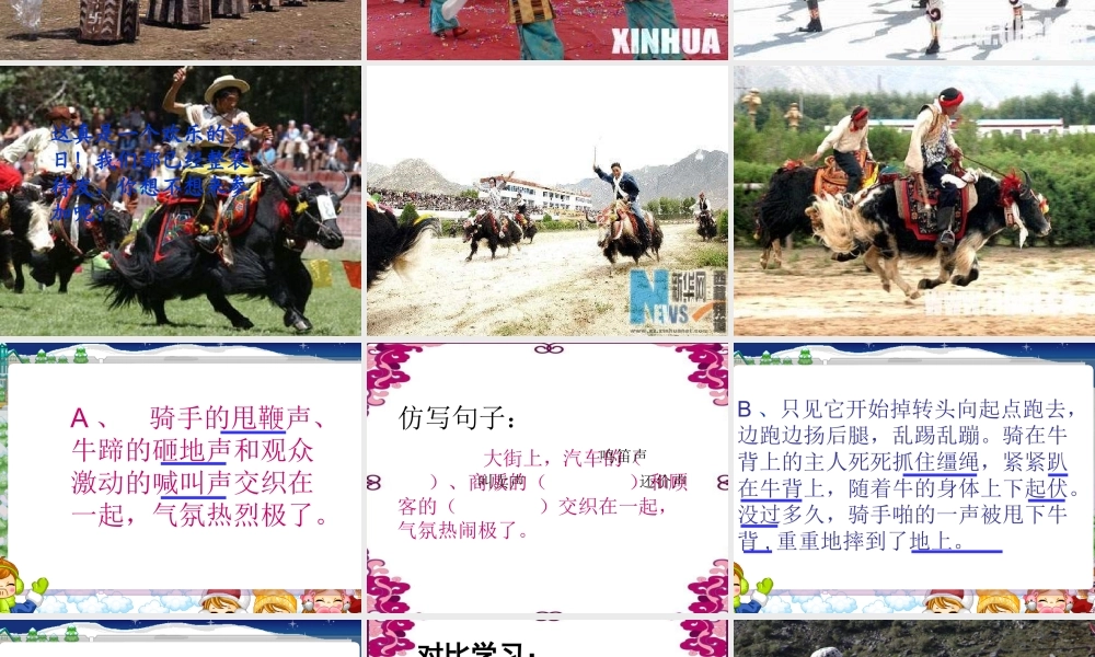 三年级语文下册 第8单元 30《雪顿节上看赛牛》课件5 语文S版-语文S版小学三年级下册语文课件