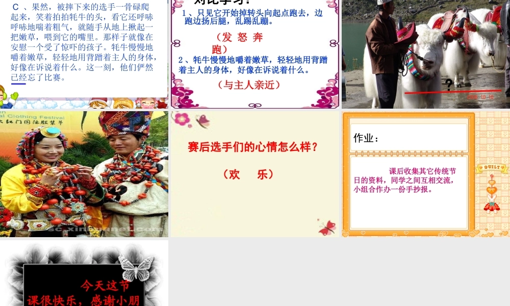 三年级语文下册 第8单元 30《雪顿节上看赛牛》课件5 语文S版-语文S版小学三年级下册语文课件