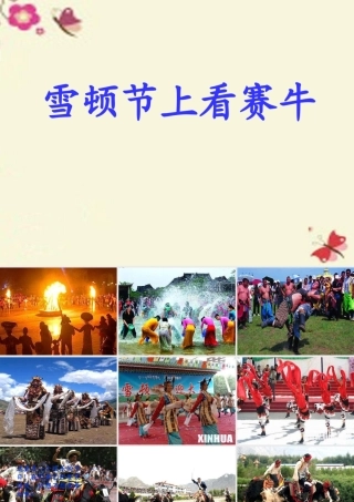 三年级语文下册 第8单元 30《雪顿节上看赛牛》课件5 语文S版-语文S版小学三年级下册语文课件