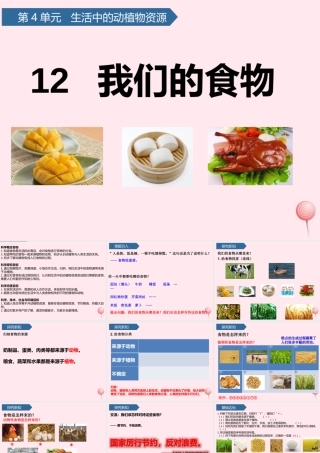 二年级科学上册 第四单元 生活中的动植物资源 第12课 我们的食物课件 青岛版六三制-青岛版小学二年级上册自然科学课件