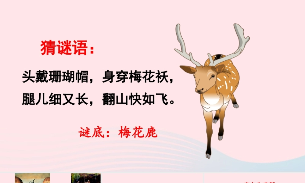 三年级语文下册 第二单元 7《鹿角和鹿腿》课件 新人教版-新人教版小学三年级下册语文课件