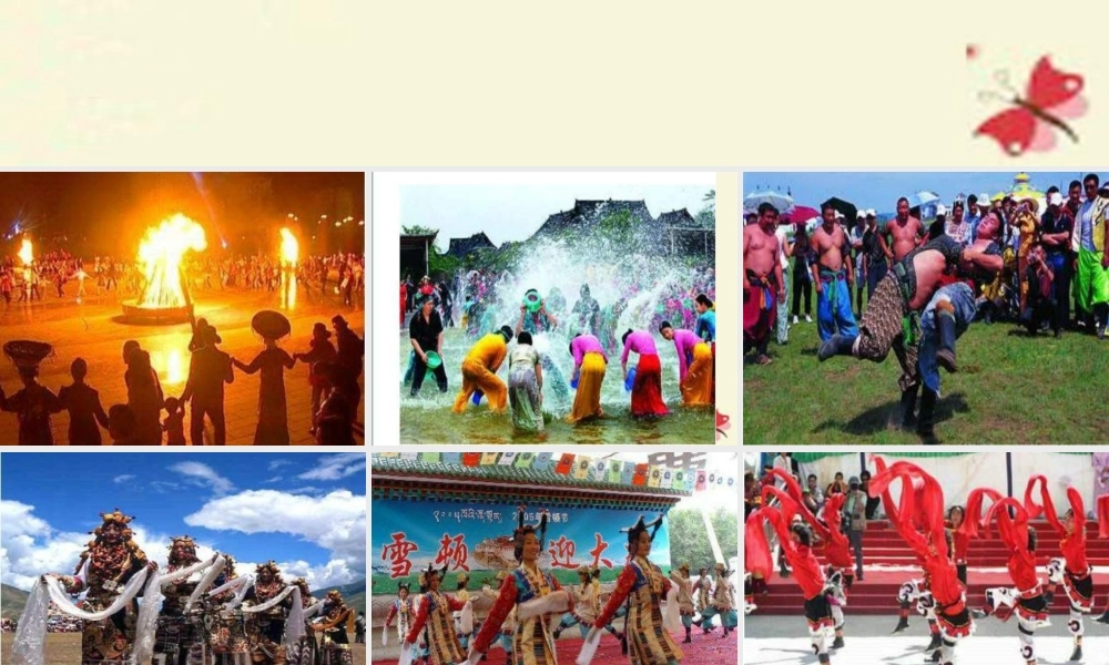 三年级语文下册 第8单元 30《雪顿节上看赛牛》课件6 语文S版-语文S版小学三年级下册语文课件