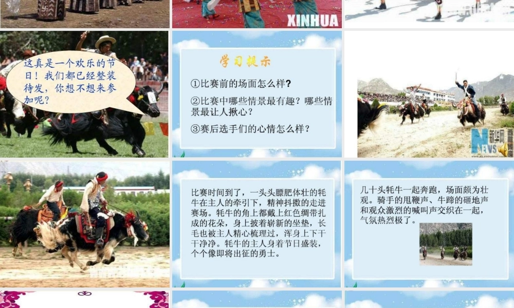 三年级语文下册 第8单元 30《雪顿节上看赛牛》课件6 语文S版-语文S版小学三年级下册语文课件