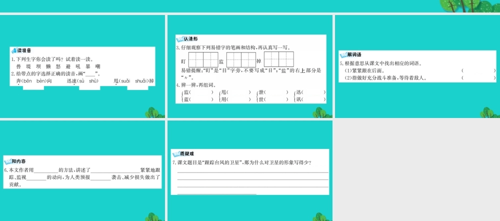 三年级语文下册 第六单元 20《跟踪台风的卫星》预习课件 苏教版-苏教版小学三年级下册语文课件