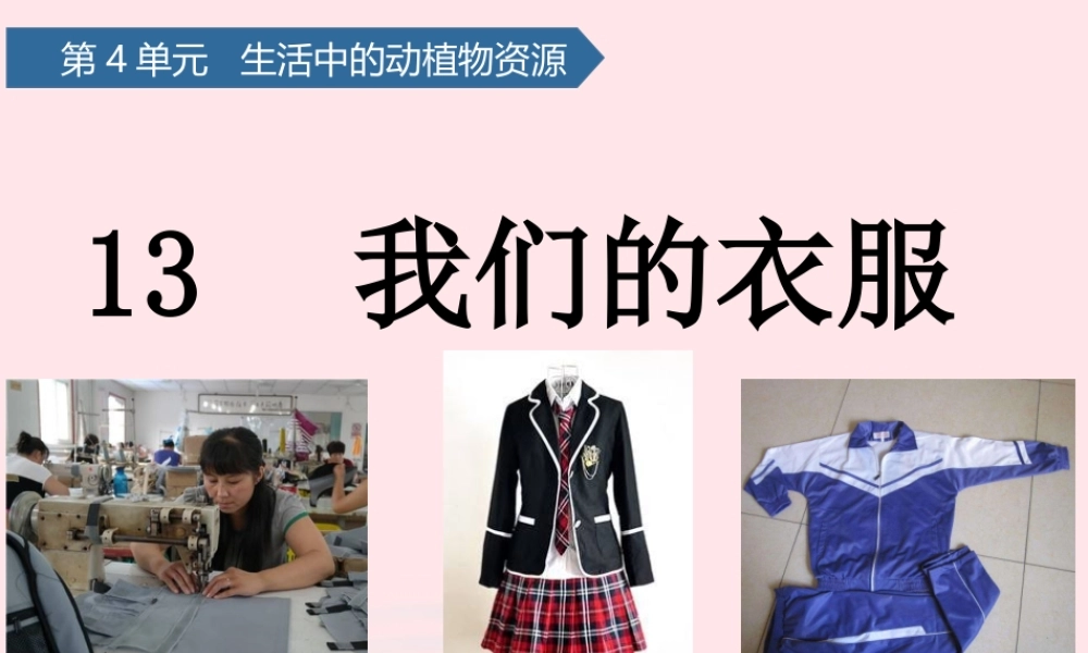二年级科学上册 第四单元 生活中的动植物资源 第13课 我们的衣服课件 青岛版六三制-青岛版小学二年级上册自然科学课件