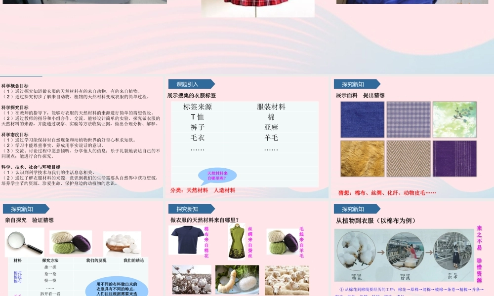 二年级科学上册 第四单元 生活中的动植物资源 第13课 我们的衣服课件 青岛版六三制-青岛版小学二年级上册自然科学课件