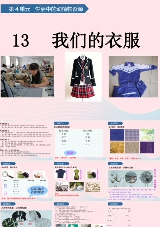 二年级科学上册 第四单元 生活中的动植物资源 第13课 我们的衣服课件 青岛版六三制-青岛版小学二年级上册自然科学课件