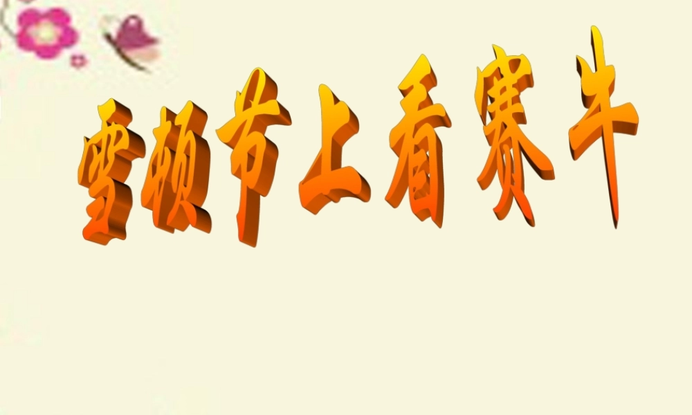 三年级语文下册 第8单元 30《雪顿节上看赛牛》课件7 语文S版-语文S版小学三年级下册语文课件