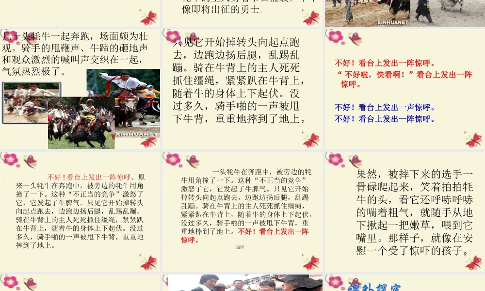 三年级语文下册 第8单元 30《雪顿节上看赛牛》课件7 语文S版-语文S版小学三年级下册语文课件