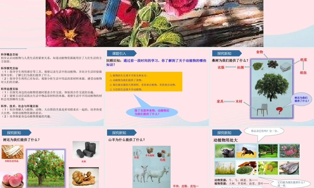 二年级科学上册 第四单元 生活中的动植物资源 第14课 身边的动植物资源课件 青岛版六三制-青岛版小学二年级上册自然科学课件