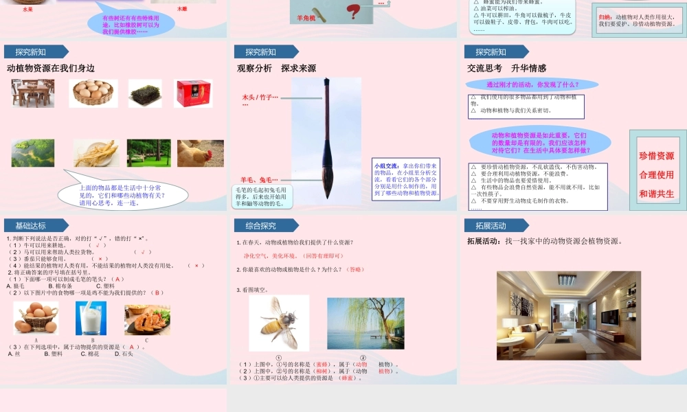 二年级科学上册 第四单元 生活中的动植物资源 第14课 身边的动植物资源课件 青岛版六三制-青岛版小学二年级上册自然科学课件