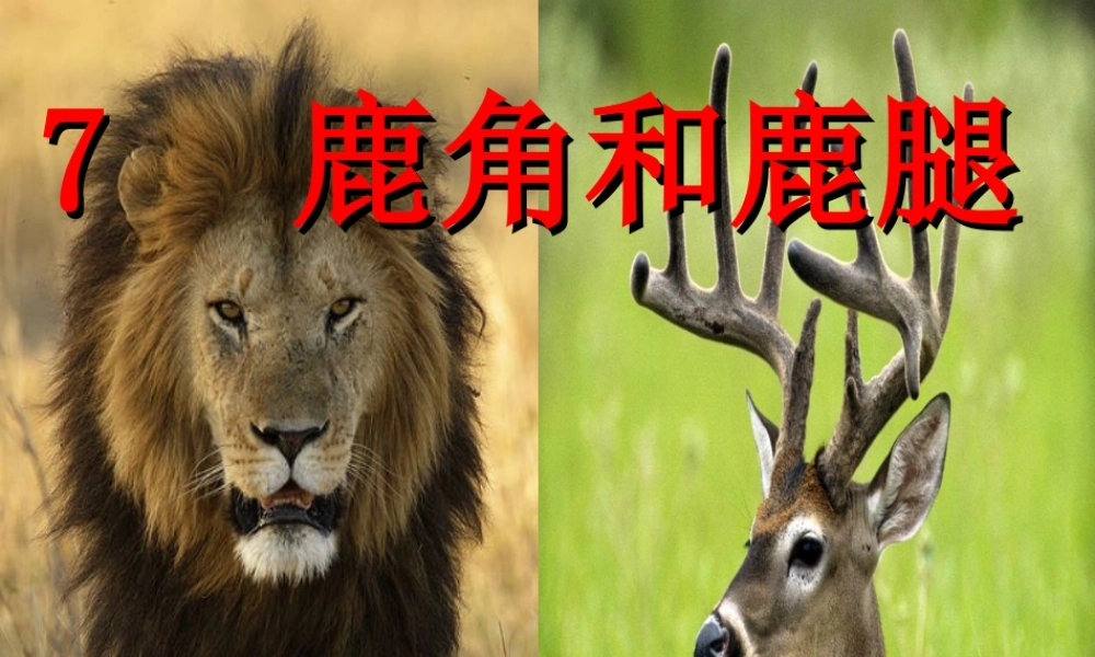 三年级语文下册 第二单元 7《鹿角和鹿腿》课堂教学课件1 新人教版-新人教版小学三年级下册语文课件