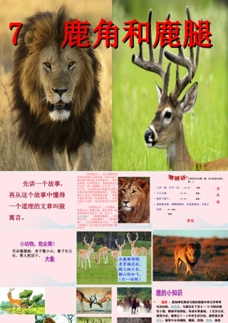 三年级语文下册 第二单元 7《鹿角和鹿腿》课堂教学课件1 新人教版-新人教版小学三年级下册语文课件
