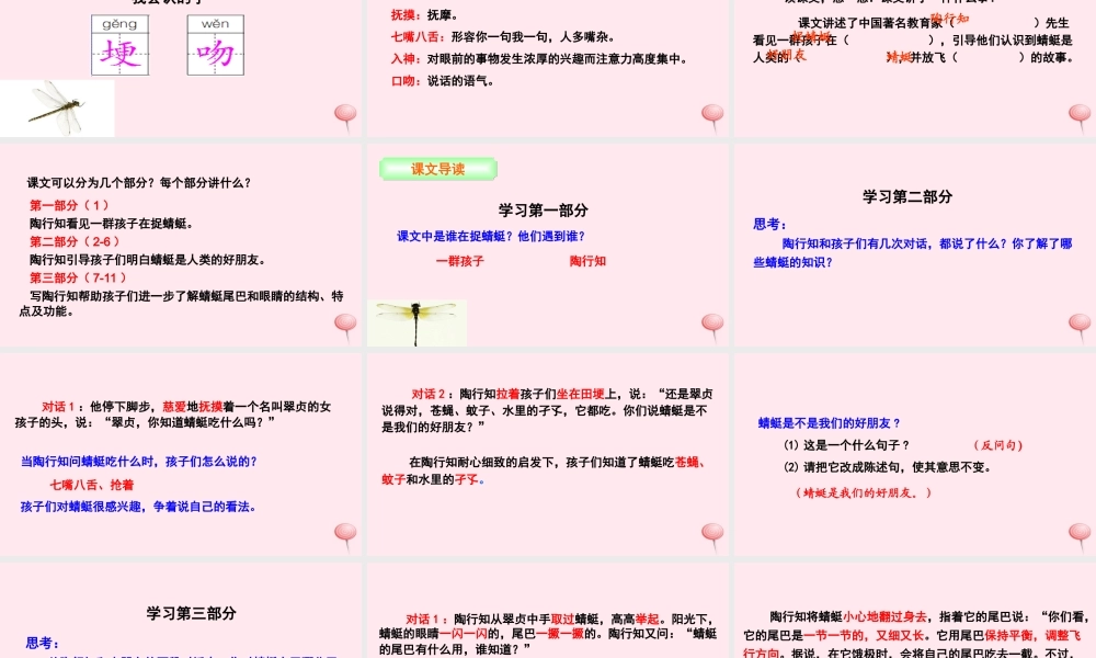 三年级语文下册 第六单元 21 放飞蜻蜓课件 语文S版-语文S版小学三年级下册语文课件